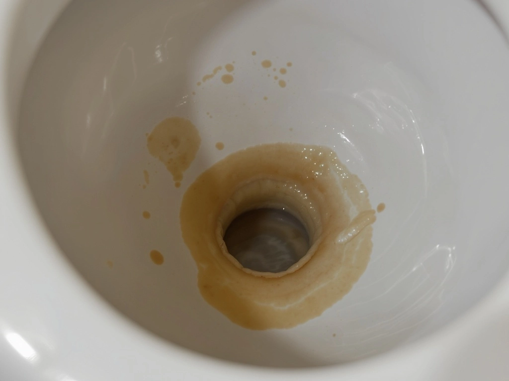 Professional service work by EmergencyPlumberMelbourne.au in Melbourne